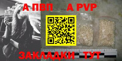 стаф Тверь