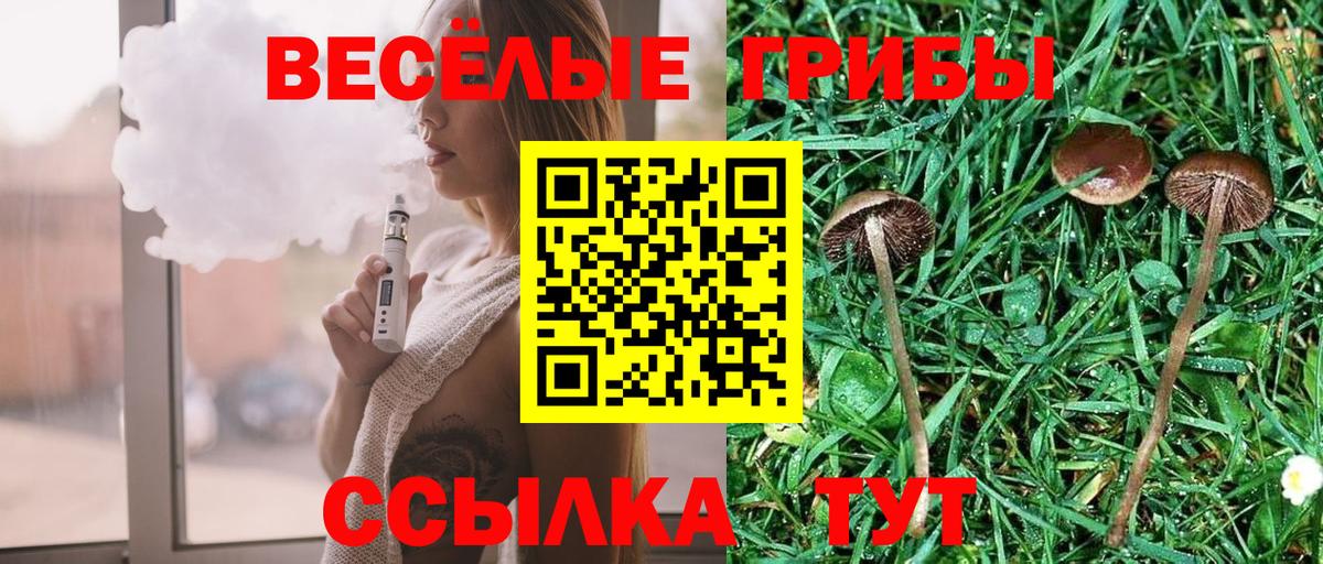 Прохладный  купить наркотики цена  Вход с VPN  Псилоцибиновые грибы Psilocybine cubensis  Псилоцибиновые грибы Cubensis 